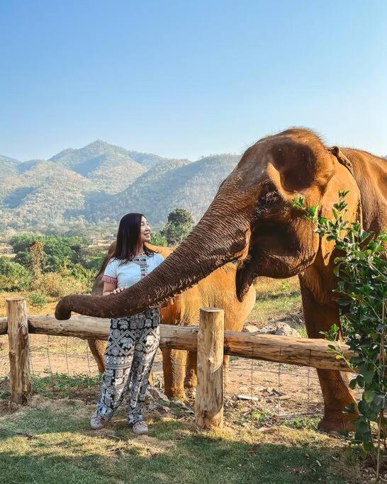 Elephantpoolvilla Maetang Chiangmai Ban Muang Kut Zewnętrze zdjęcie